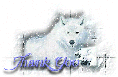 Thank You Comments for Myspace