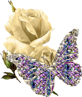 Butterfly Glitters for Myspace