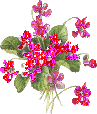 Flower Glitters for Myspace