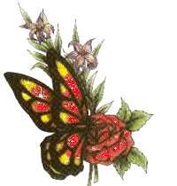 Butterfly Glitters for Myspace
