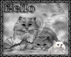 Cute Graphics for Myspace
