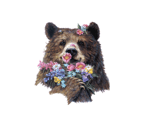 Flower Graphics for Myspace