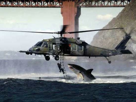 Sea World Pictures for Myspace